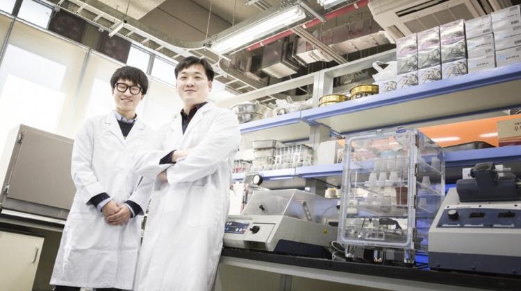 UNIST to Engineer Green Cement to Rein in Carbon Emissions