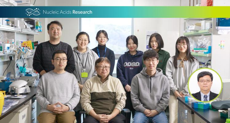 Researchers Identify Key Protein that Promotes DNA Repair and Prevent Cancer